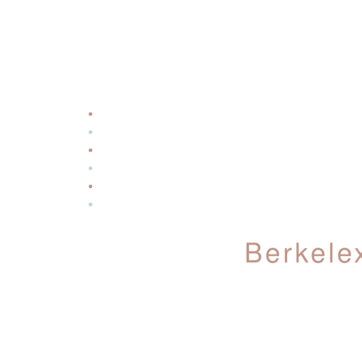 Berkelex Logo